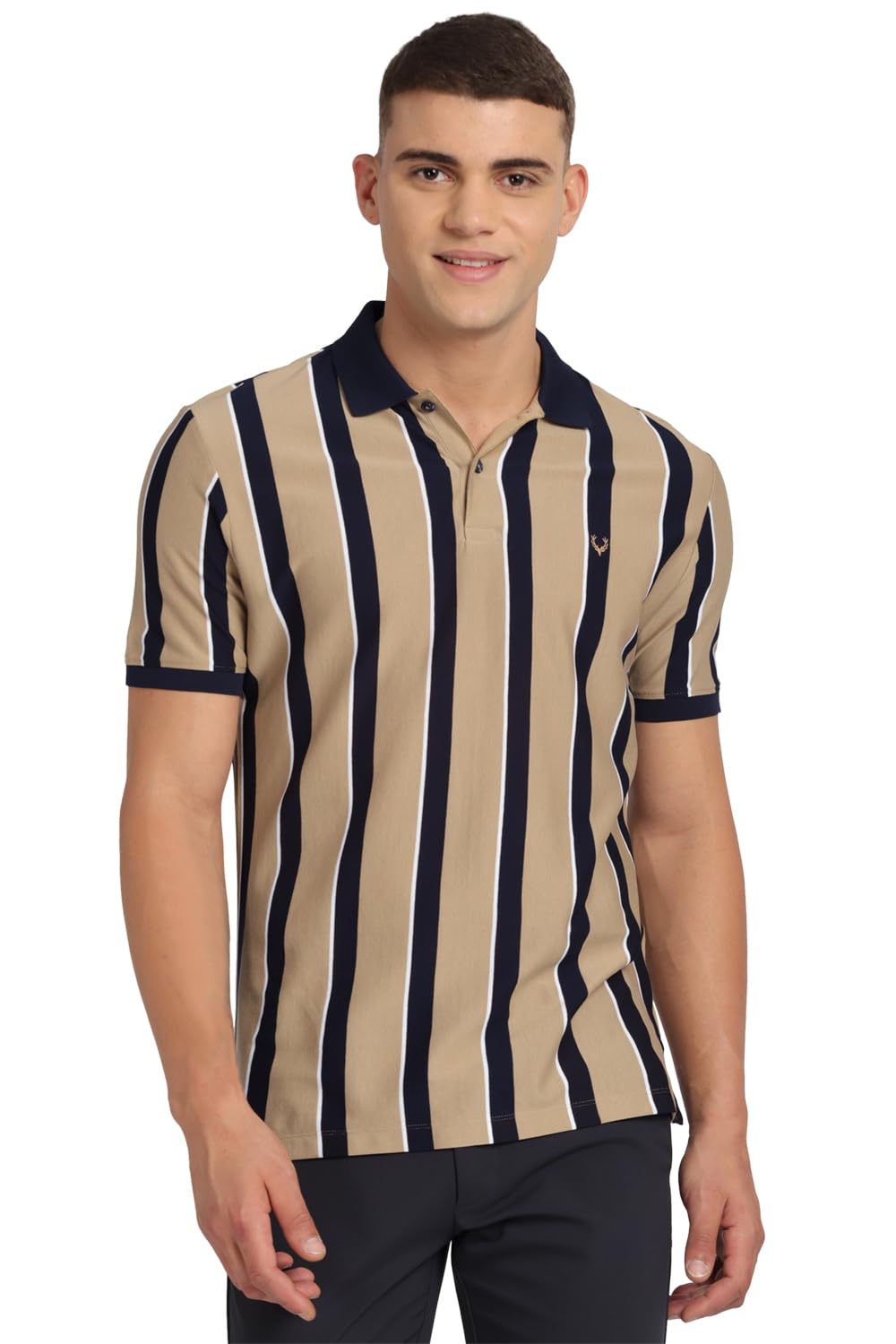 Allen Solly Men Striped Polo Shirt