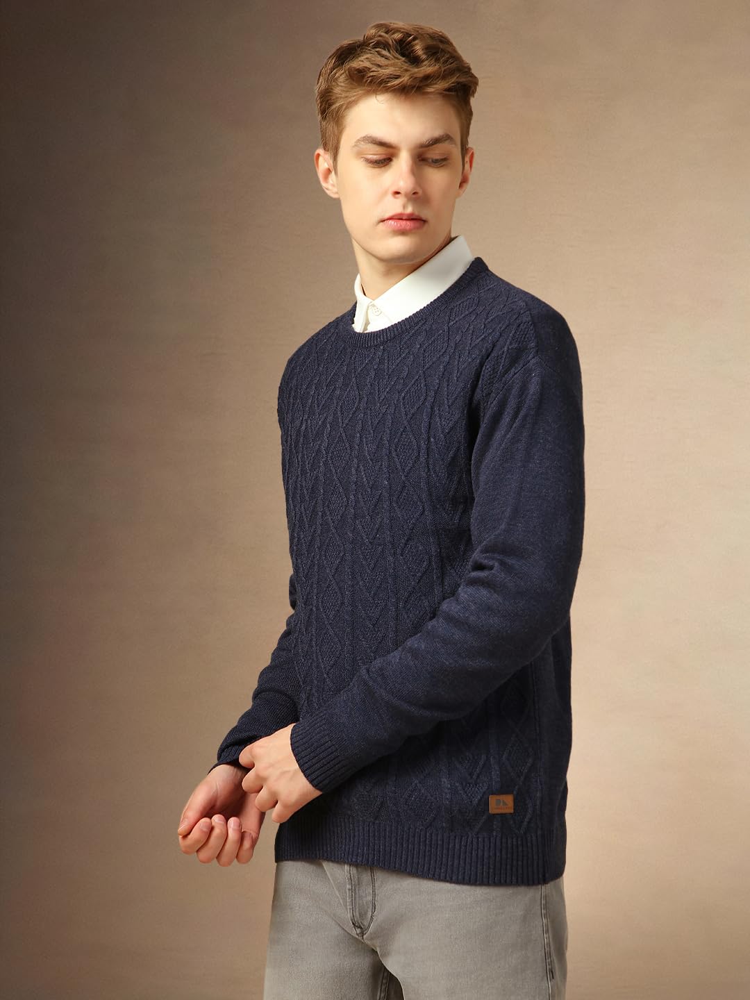 Dennis Lingo Men Regular Fit Acrylic Full Sleeves Solid Sweaters