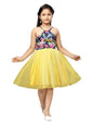 Aarika GirlS Nylon Skater Knee-Length Dress (Md-22133_Yellow_24)