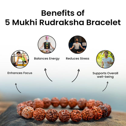 Astrotalk 5 Mukhi Rudraksha Bracelet - Natural Beads for Focus & Growth, Unisex, Brown