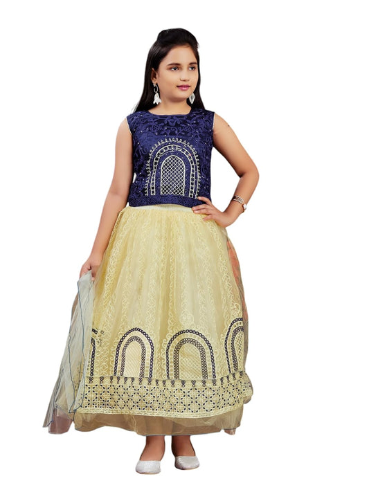 Aarika Girls Ethnic Wear Navy Blue-Beige Colour Thread Embroidery Net Lehenga Choli Set (4-10 Years)