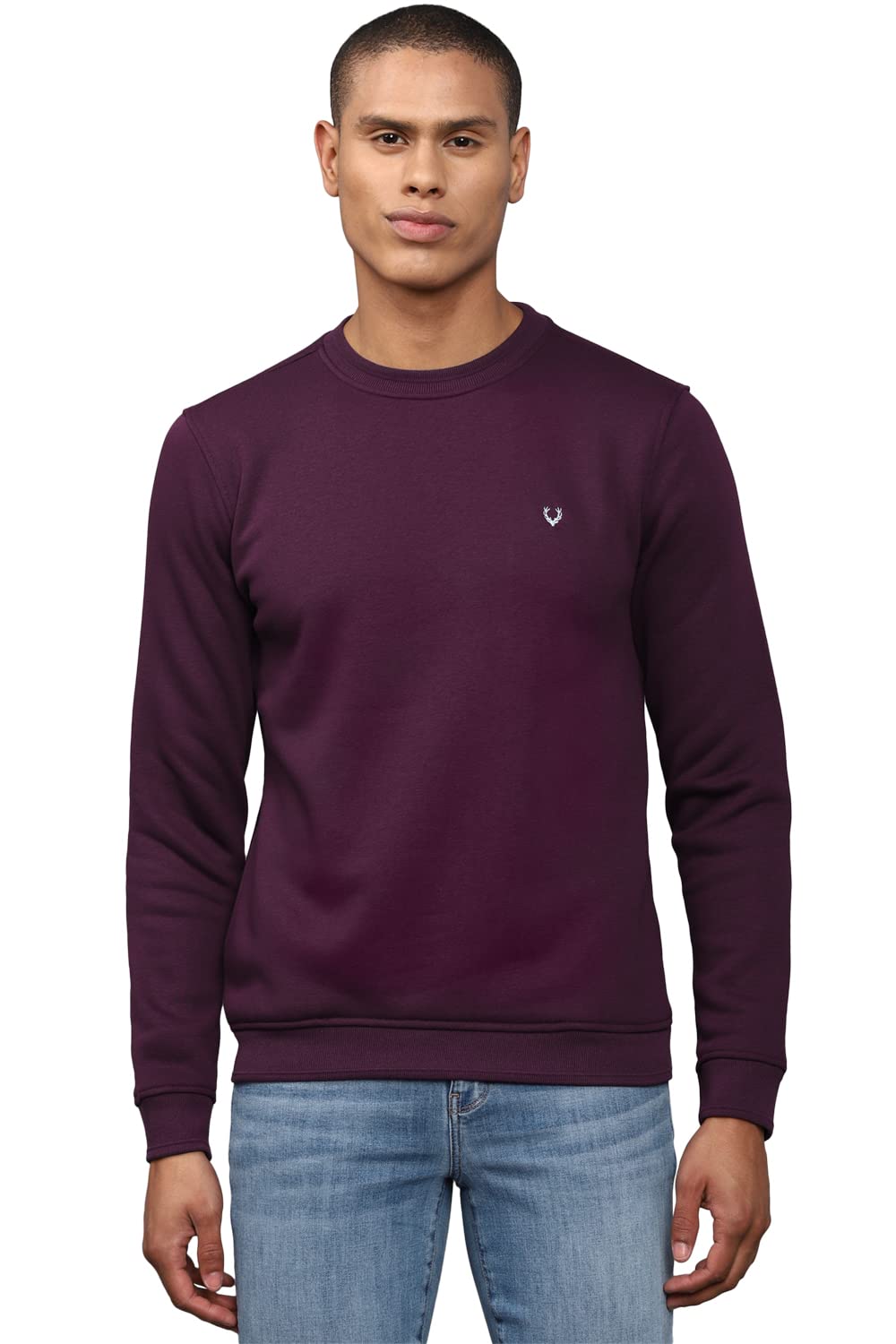 Allen Solly Men Casual Full Sleeve Crew Neck T-Shirt