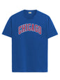 ADRO Mens T Shirt Urban Style Tshirt Printed with Chicago Design - HighQuality Cotton & Eye Catching Print Stylish T-Shirt for M