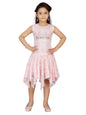 Aarika Girl's Net A-Line 2-3 Years Dress (NV-FK-20802_Pink