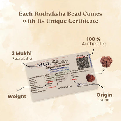 Astrotalk Nepal Origin 3 Mukhi Rudraksha | Ignite Self-Transformation & Confidence | Emotional Healing, Mental Clarity & Strength | Sacred Rudraksha Bead for Women & Men