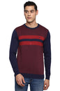 Allen Solly Men Cotton Crew Neck Pullover