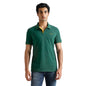 Maxton Solid Logo Printed Polo