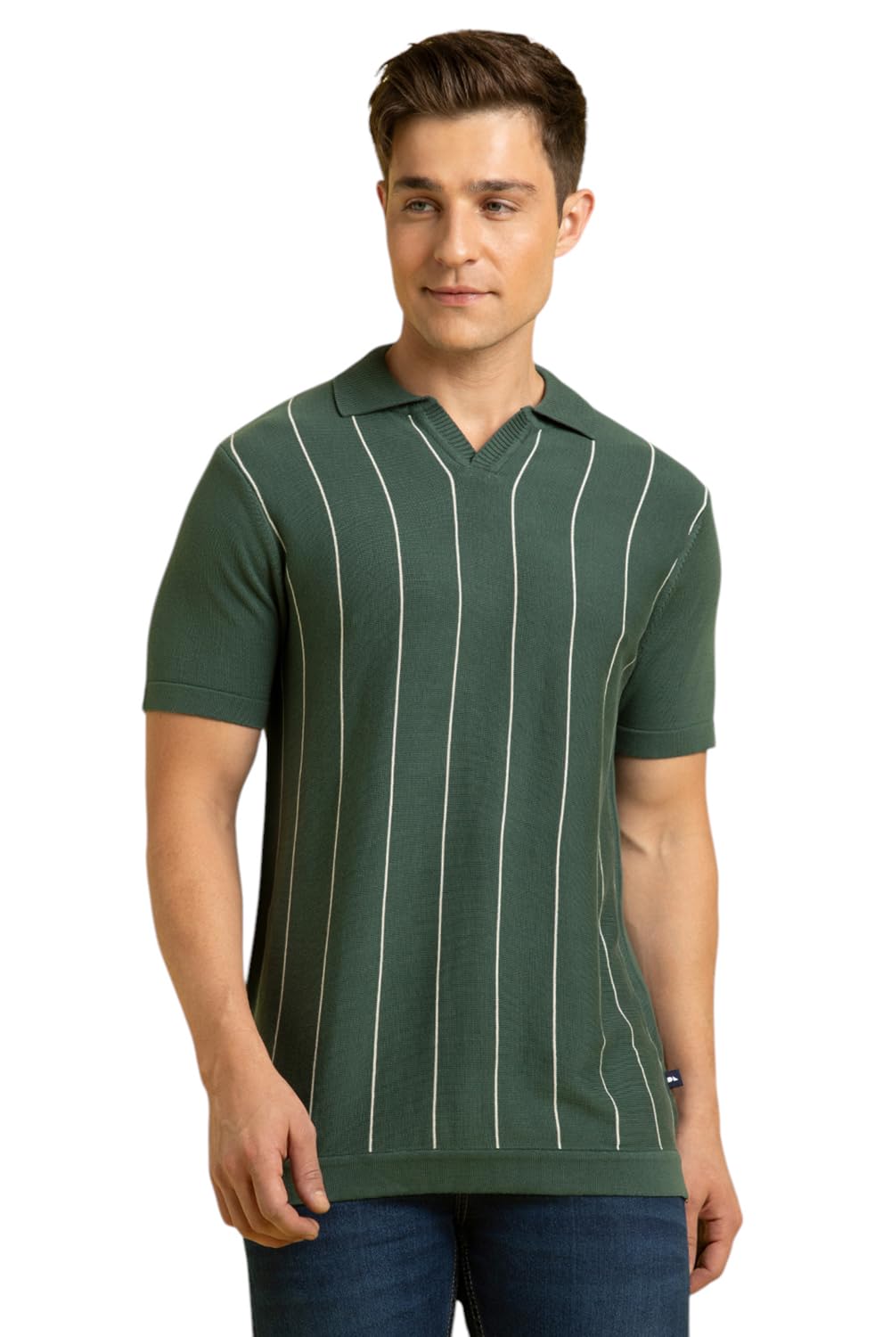 Dennis Lingo Men Cotton Regular Fit Striped T-Shirts Green