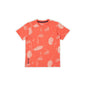 Pepe Jeans BoyS Regular Fit T-Shirt (Pb503874_Burnt Orange