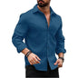 Deelmo MenS Regular Fit Checks Pattern Polyester Blend Shirt With Collared Neck Long Sleeve And Standard Length | Shirt For Man