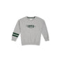 Pepe Jeans BoyS Cotton Crew Neck Sweatshirt (Pb581599 Marl Grey