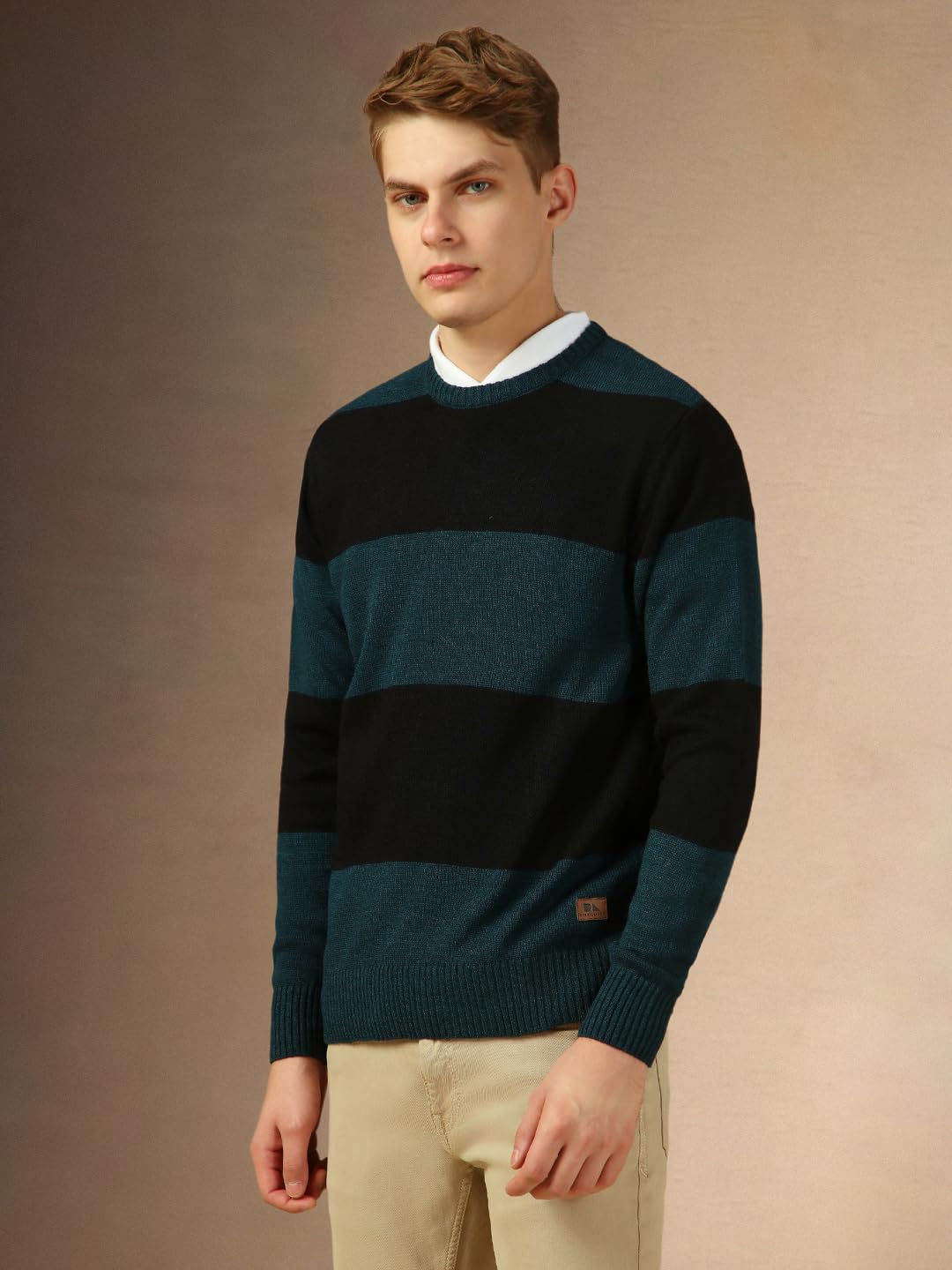 Dennis Lingo Men Black Striped Slim Fit Full Sleeve Crew Pullover Sweater