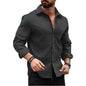 Deelmo MenS Regular Fit Checks Pattern Polyester Blend Shirt With Collared Neck Long Sleeve And Standard Length | Shirt For Man