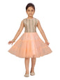Aarika Girl's Net A-Line 1-2 Years Dress (NV-FK-21906_Peach
