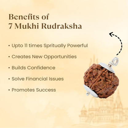 Astrotalk Nepal Origin 7 Mukhi Rudraksha with 925 Silver-Capping | Attract Wealth & Prosperity | Financial Stability, Inner Peace & Spiritual Growth | Sacred Rudraksha Bead for Women & Men