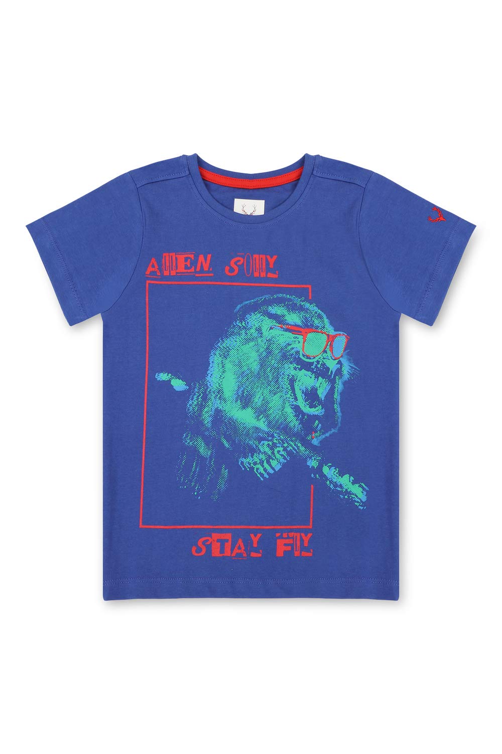 Allen Solly Boys Regular Fit T-Shirt