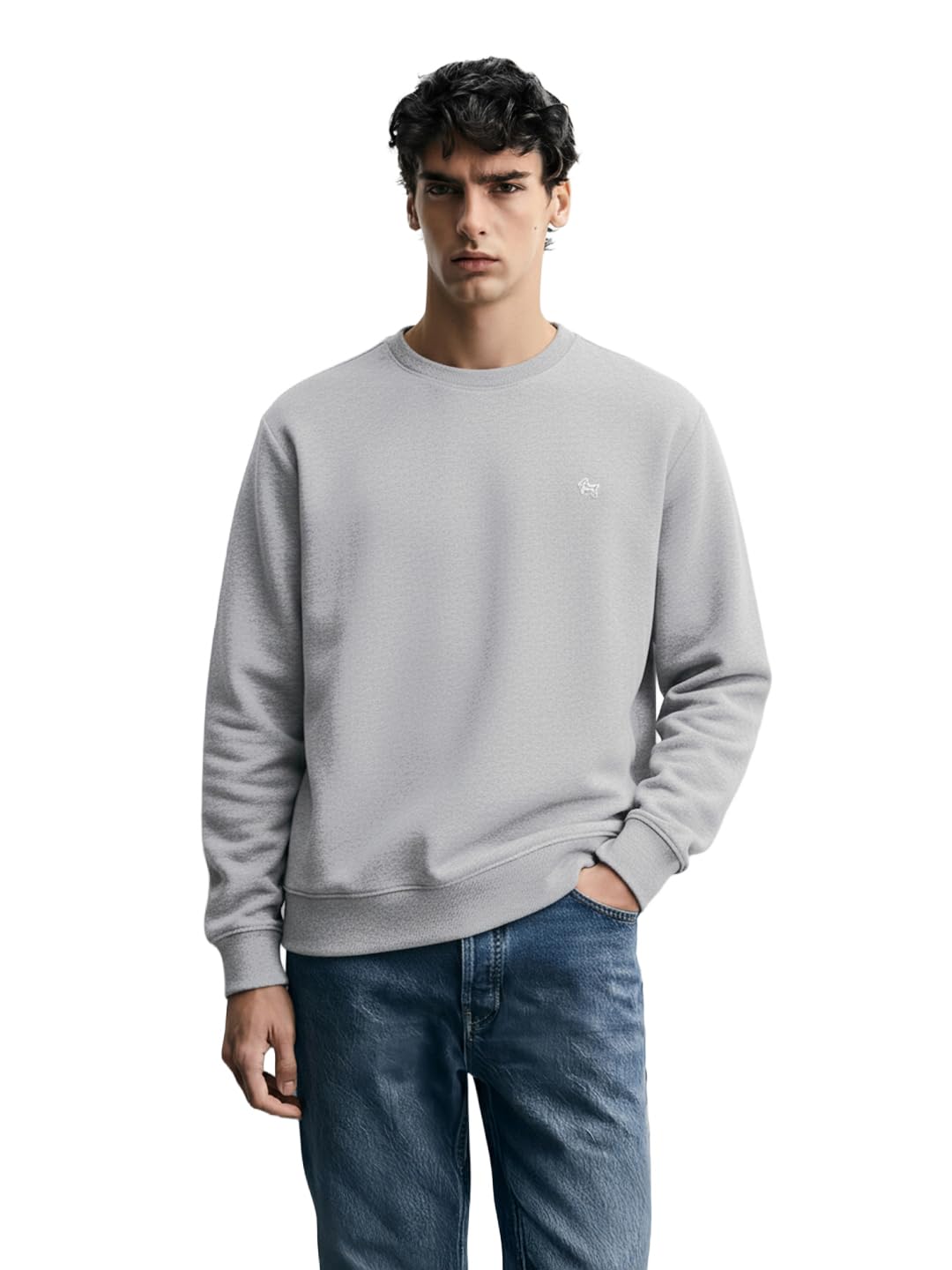 The Indian Garage Co Mens Relaxed Fit Long Sleeves Crew Neck Applique Sweatshirt