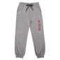 Pepe Jeans Boys Jello Graphic Printed Jogger, Grey Mel,10