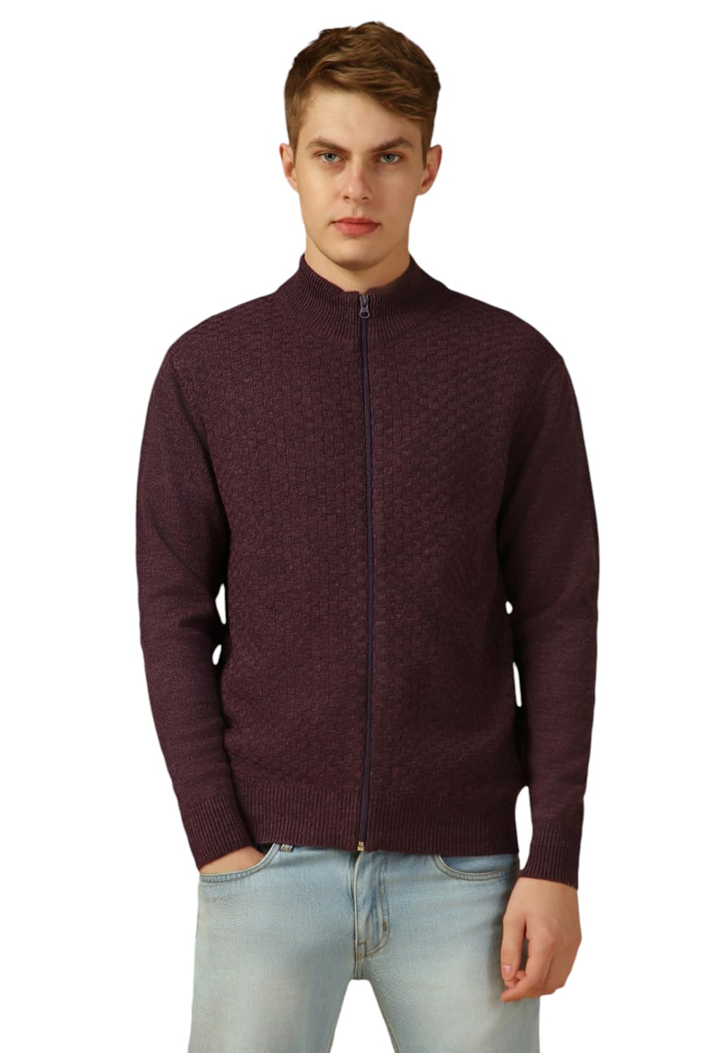 Dennis Lingo Men Purple Solid Slim Fit Full Sleeve Mock Collar Pullover Sweater