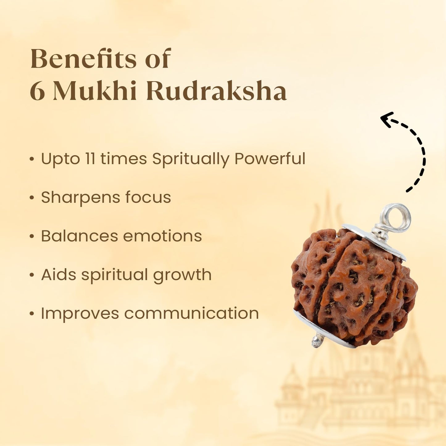 Astrotalk Nepal Origin 6 Mukhi Rudraksha with Silver-Capping | Boost Focus & Confidence | Mental Clarity, Willpower & Success | Sacred Rudraksha Bead for Women & Men