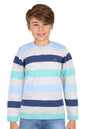 Allen Solly Boys Regular Fit Crew Neck Sweater