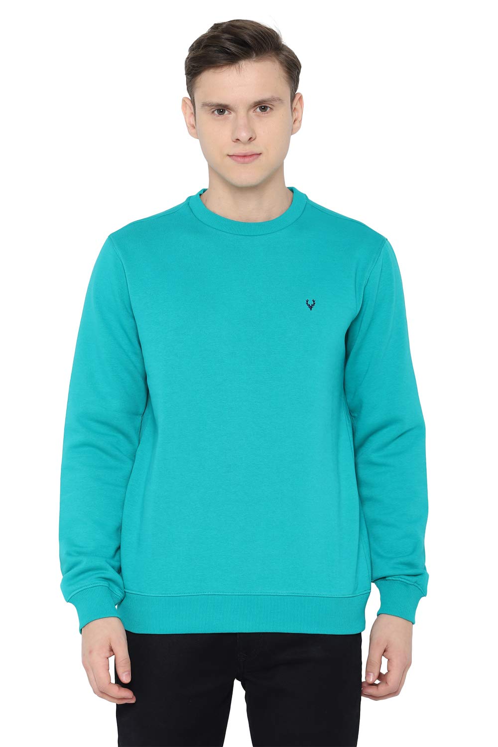 Allen Solly Men Solid Casual Full Sleeve Crew Neck T-Shirt