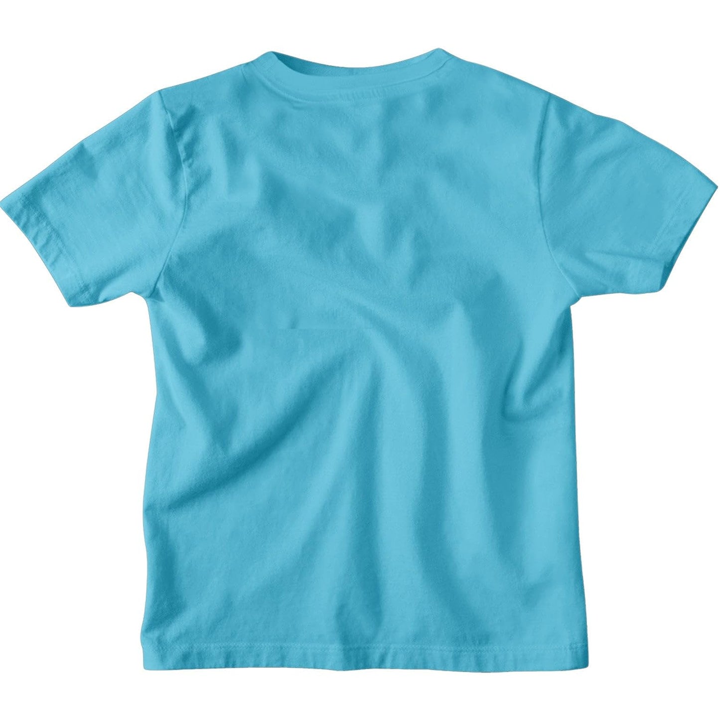 Bon Organik Boys Regular Fit T-Shirt (BON12163_Blue