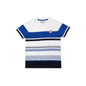 Pepe Jeans BoyS Striped Regular Fit T-Shirt (Pb503656 Green And White