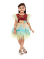 Aarika Baby-Girl's Nylon Fit and Flare Knee-Length Dress (SP-FK-3015_Maroon
