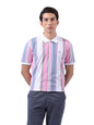 The Indian Garage Co Men Slim Fit Striped Polo Collar Tshirt Red