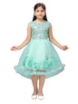 Aarika Girl's Net Fit and Flare Knee-Length Dress (FK-3022_Turquoise_24)