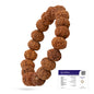 Astrotalk 7 Mukhi Rudraksha Bracelet | Powerful Shield of Positivity & Growth | Natural original Rudraksha Beads | Astrology Unisex Bracelet for Men & Women