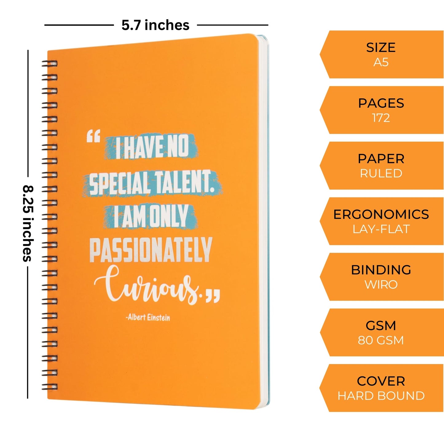 Doodle Undated Daily Planner | A5 | 172 Pages | 80 Gsm | 3 Months Schedule, To-Do List, Daily Priorities, Appointments, Deadline