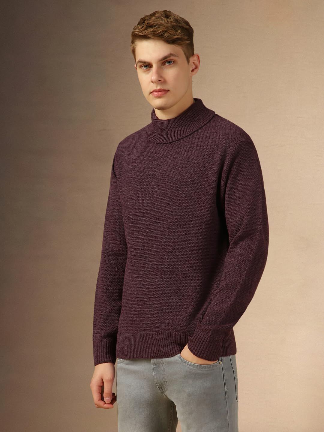 Dennis Lingo Men Purple Solid Slim Fit Full Sleeve Turtle Neck Pullover Sweater