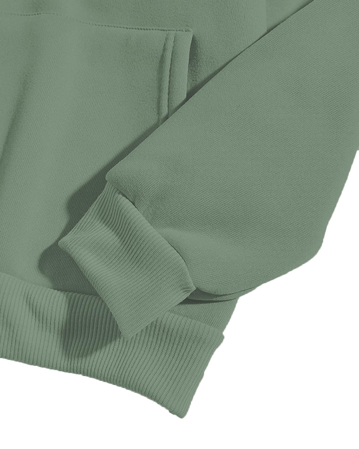 ADRO Men's Cotton Neck Hooded Sweatshirt (H22-M-WINN-PT_Pista)