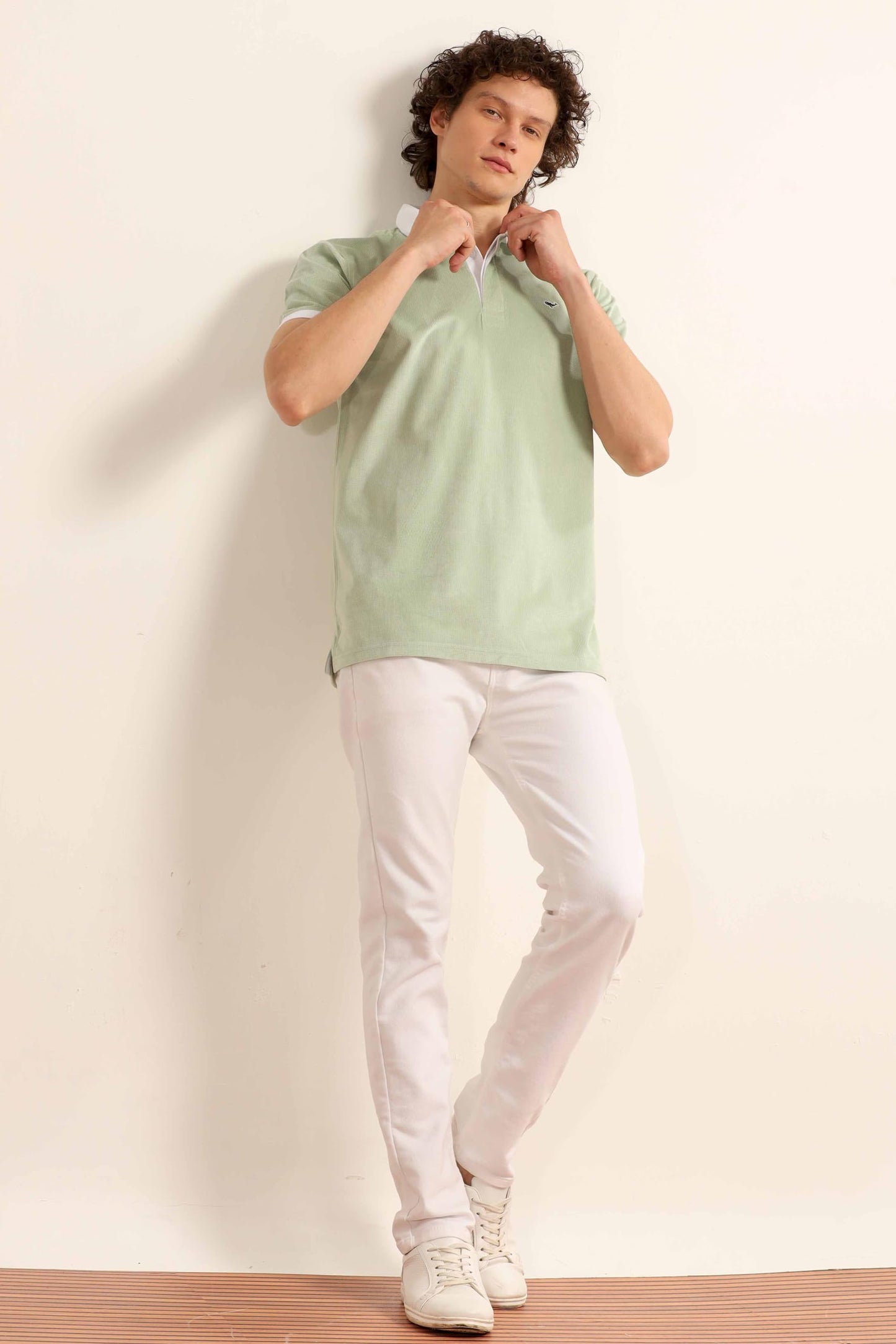 BE ACTIVE Mens Casual Polo Tshirt with Contrast Collar|| Tshirt for Men || Tshirt for Men Stylish || Tshirt for Men Polo (PTP00
