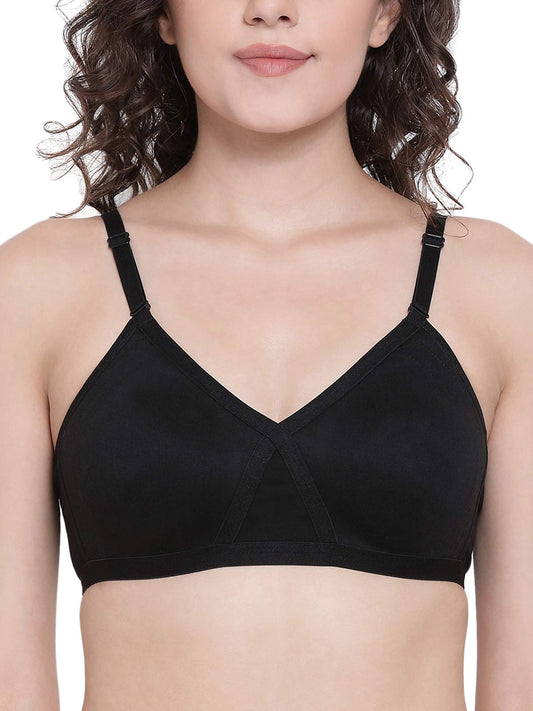 Clovia Womens Non-Padded Non-Wired Full Figure T-Shirt Bra (BR2079P13_Black_36D)