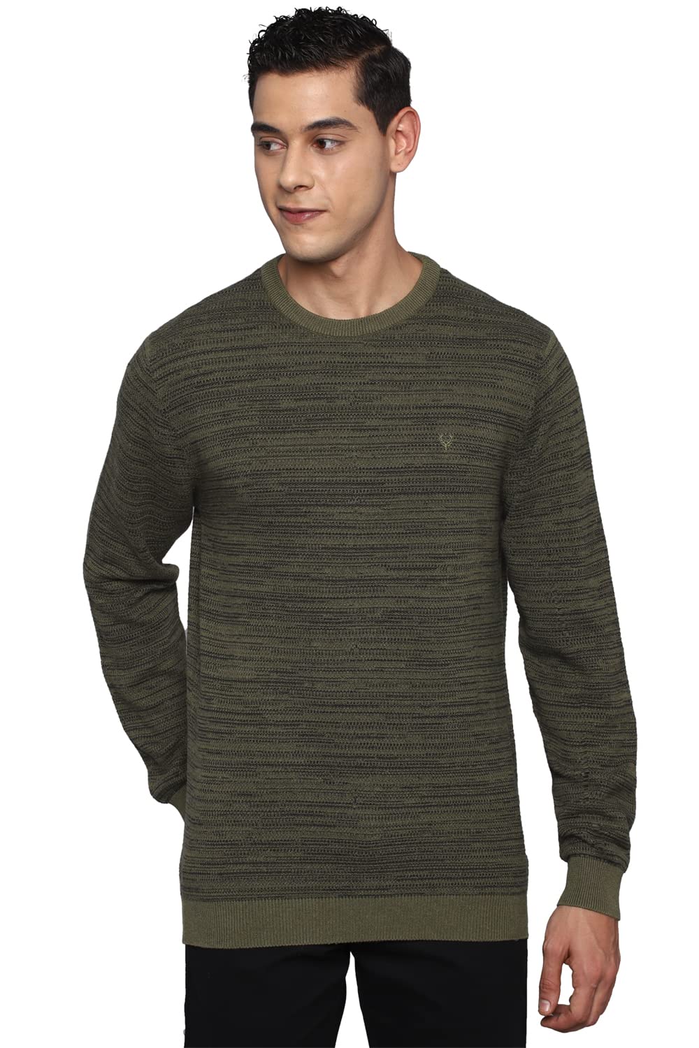 Allen Solly Men Striped Full Sleeve Crew Neck Pullover
