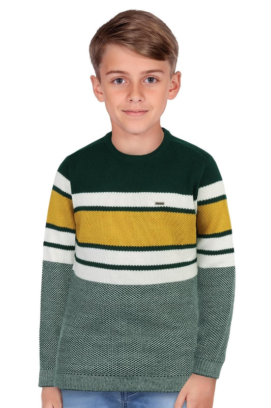 Allen Solly Boys Regular Fit Pullover