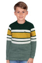 Allen Solly Boys Regular Fit Pullover