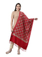 Pashmoda Women Roohani Kashmiri Aari Embroidery Stole (Size: 71X203 CM)