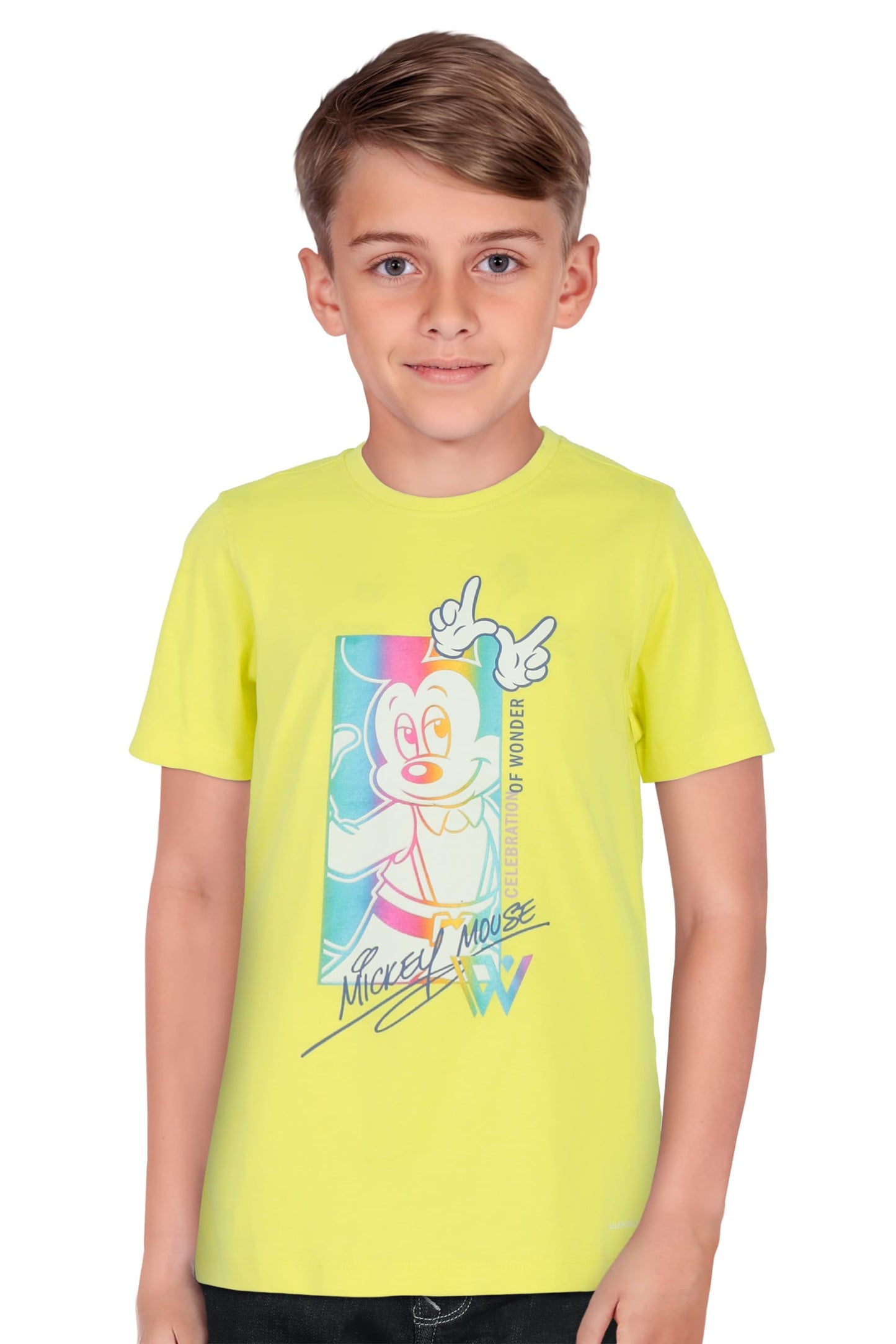 Allen Solly Boys Regular Fit Printed Casual Crew Neck T-Shirt