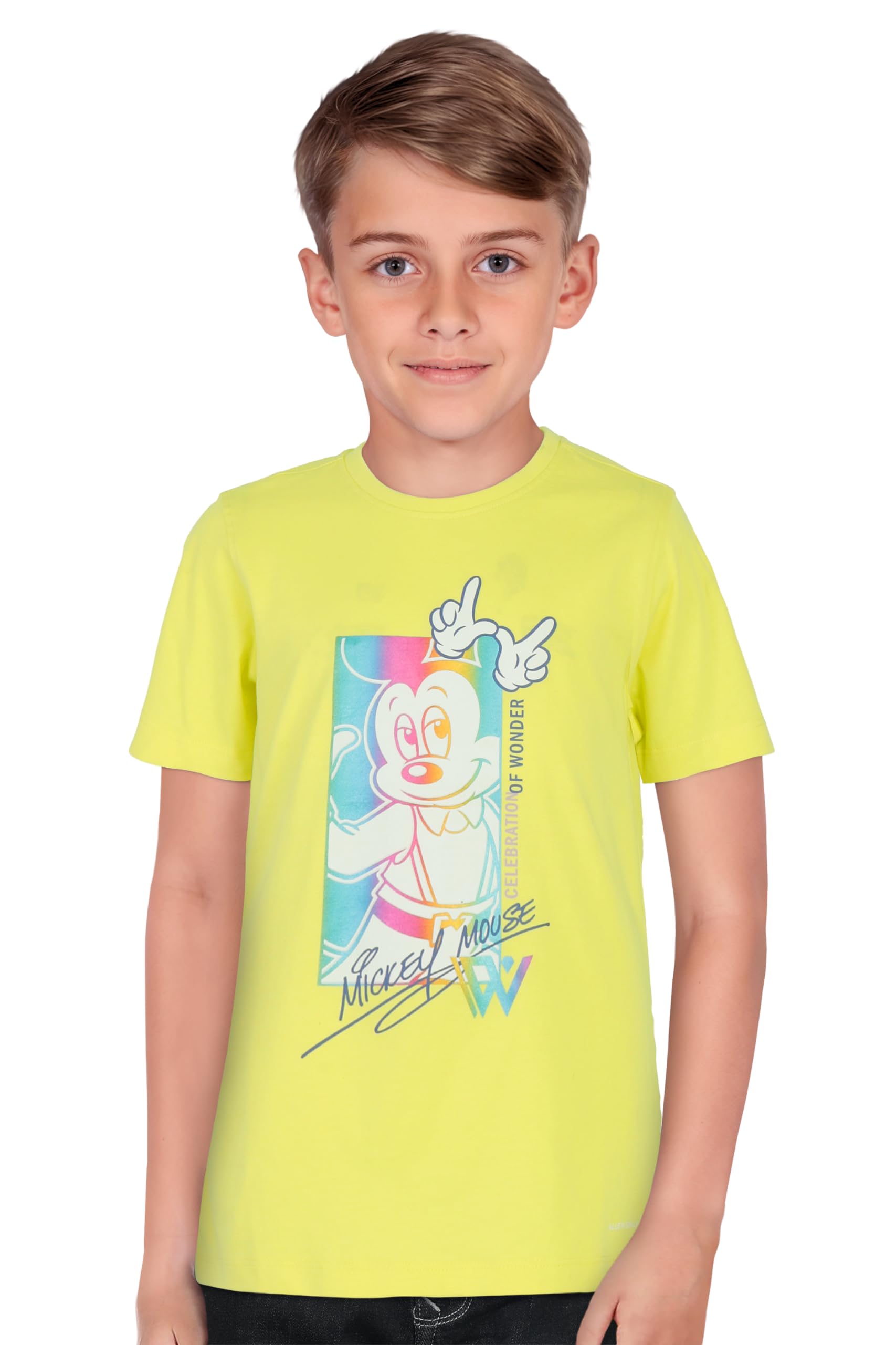 Allen Solly Boys Regular Fit Printed Casual Crew Neck T-Shirt