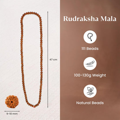 Astrotalk 7 Mukhi Rudraksha Mala 108+1 Beads | Certified 7mm Rudraksha | Attract Wealth, Prosperity & Positivity | Divine Venus Blessings | Rudraksha Mala Original for Men & Women