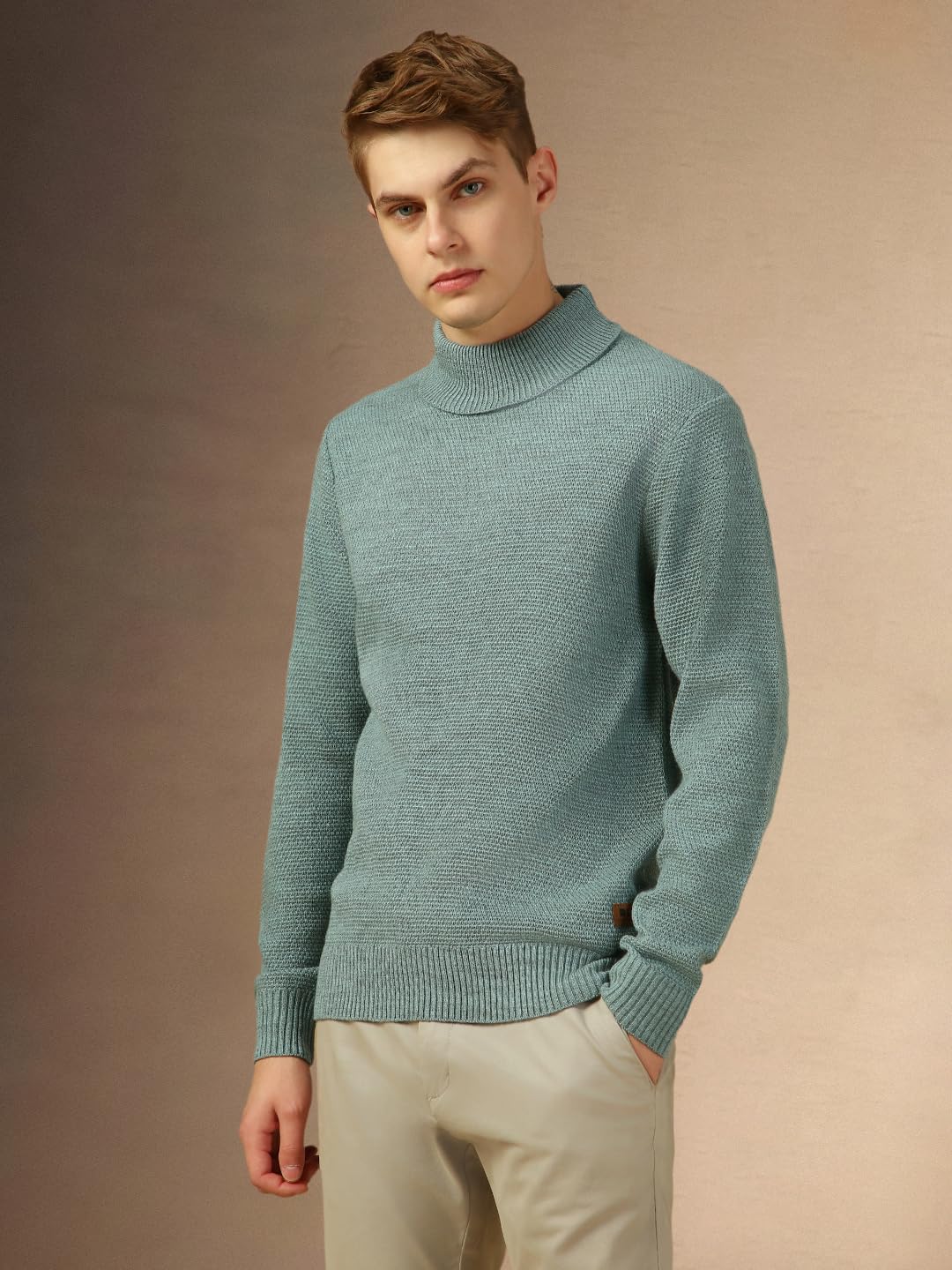 Dennis Lingo Men Purple Solid Slim Fit Full Sleeve Turtle Neck Pullover Sweater