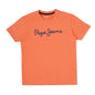 Pepe Jeans BoyS Regular Fit T-Shirt (Pb50362411810_Peach