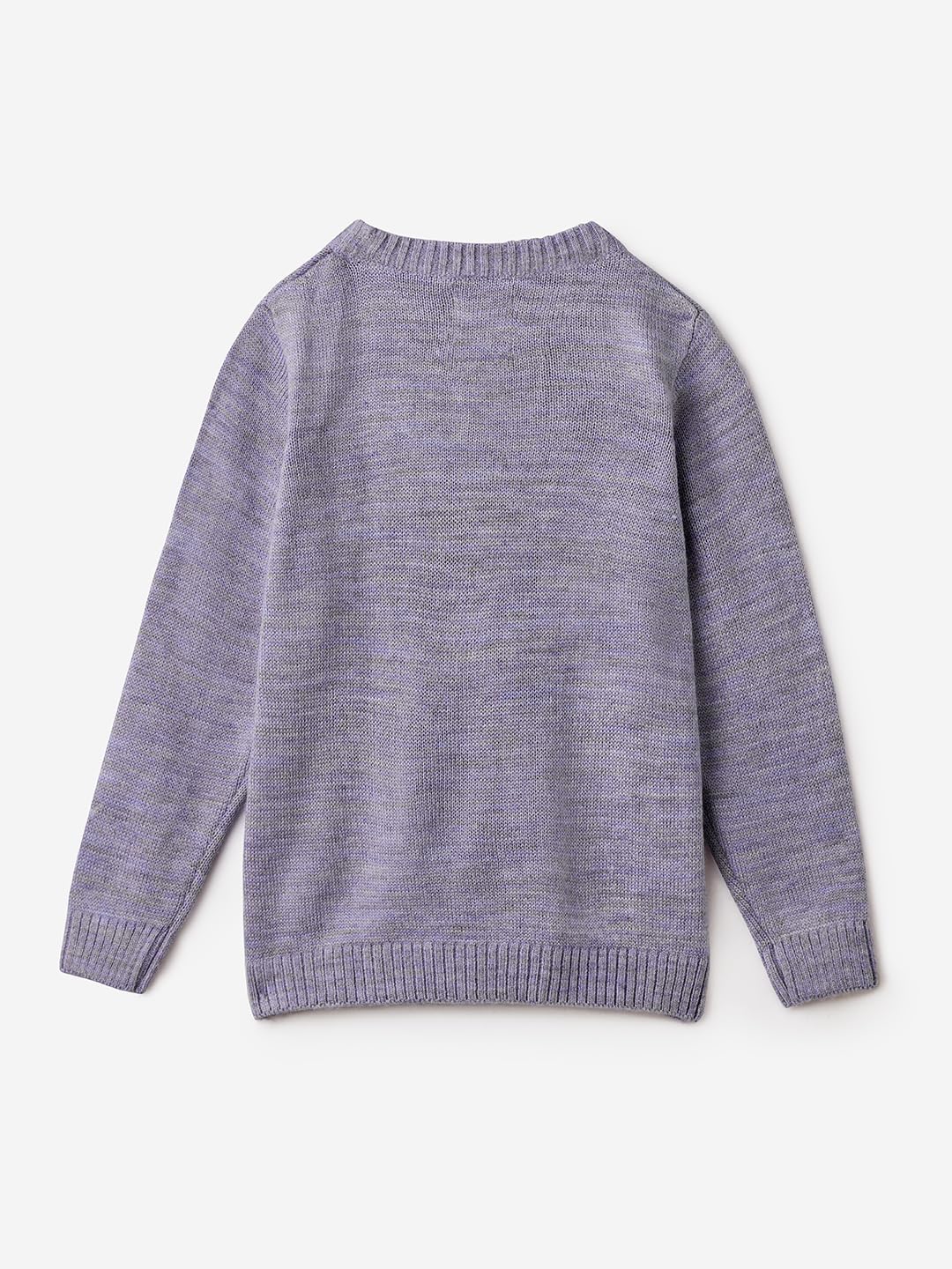 The Souled Store Cosmic Sky Girls Crew Neck Long Sleeve Purple Embroidered Regular Fit Sweaters Girls Knit Sweaters for Kids Ch