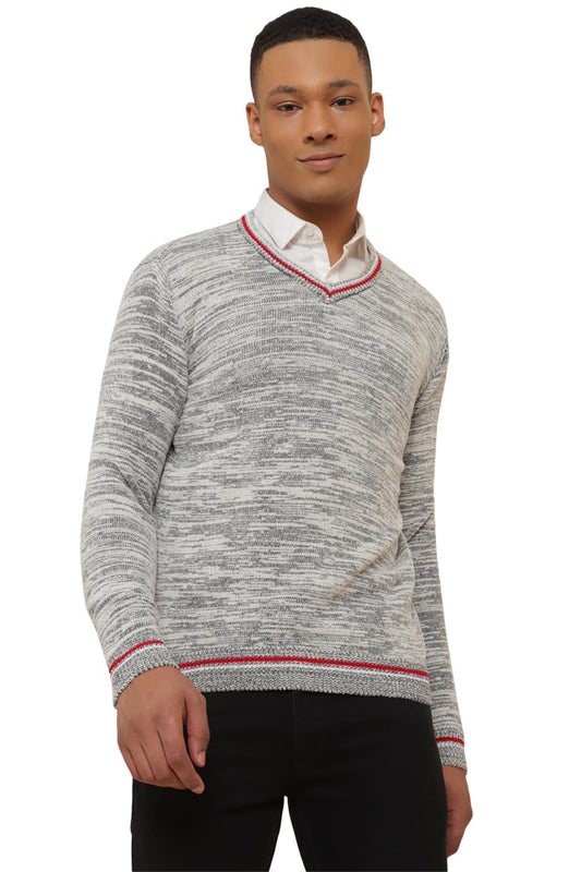 Allen Solly Men Printed Full Sleeve Pullover