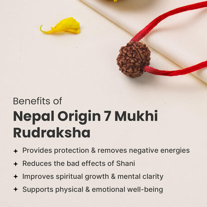 Astrotalk Nepal Origin 7 Mukhi Rudraksha | Attract Wealth & Prosperity | 108 Hours Energized by Top Astrologers | Financial Stability, Peace & Spiritual Growth | Sacred Rudraksha Bead for Women & Men