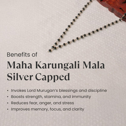 Astrotalk Silver Capped Karungali Malai 6 mm (54+1 Beads) | Karungali Mala Original for Lord Murugan Blessings | Evil Eye Protection & Mangal Dosh | Ideal for Puja & Gift items